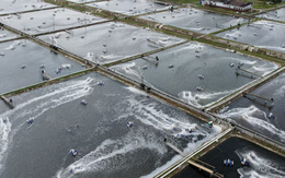 Bị Mỹ áp thuế mạnh tay với mặt hàng chủ lực, quốc gia Đông Nam Á quay xe xuất khẩu sang Trung Quốc, khẳng định: Chúng tôi có một cơ hội rất lớn ở đây!