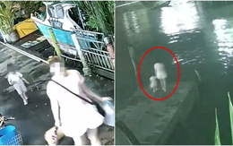 Mẹ dắt con gái ra cầu tàu rồi nhảy xuống biển, để lại di thư khiến ai cũng nghẹn ngào