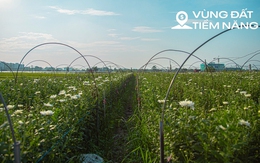 Toàn cảnh khu đất rộng hơn 200 ha tại Mê Linh được Sun Group đầu tư gần 15.000 tỷ làm khu đô thị cao cấp ở Hà Nội