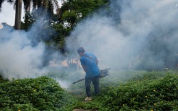 Virus Chikungunya lây lan ở Quảng Đông, loạt biện pháp phòng chống Covid-19 được kích hoạt