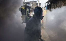 Cảnh báo khẩn: Loại virus "phá hủy nội tạng" bùng phát, khiến Trung Quốc khôi phục biện pháp thời COVID-19 chống dịch, WHO lo ngại