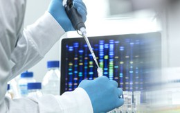 Nghe đồn vợ ngoại tình, chồng bí mật đưa 3 con đi xét nghiệm ADN: Choáng váng khi nhận kết quả