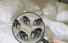 Cả nhà cầu cứu bác sĩ vì thứ nguy hiểm trên giường, bẩn vượt sức tưởng tượng, gấp 3 lần bồn cầu