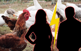 Cặp vợ chồng không thể ly hôn vì lấn cấn với 53 con gà, vịt, ngỗng: Thẩm phán đưa ra phán quyết