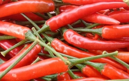 Tác dụng của quả ớt ít ai ngờ đến
