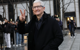 CEO và phong cách tối giản: Khi quyền lực không cần phô trương