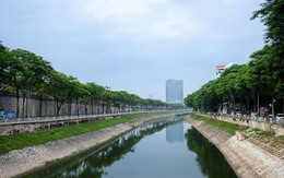 Cảnh tượng hiếm thấy: Sông Tô Lịch hóa xanh, cá bơi tung tăng giữa lòng Hà Nội