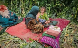 Động đất ở Afghanistan: 3.600 người thương vong, chính quyền Taliban kêu gọi hỗ trợ