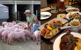 Thấy chồng nghèo nuôi lợn nấu cả mâm cỗ toàn đồ Tây, vợ lên mạng tìm hiểu thì tìm ra sự thật "cứng họng"