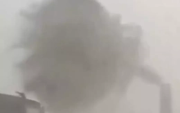 Bão dữ quật Tây Ban Nha, cây bật gốc, đường thành sông