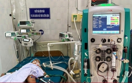 Bị 23 vết ong vò vẽ đốt, bé 5 tuổi ở Gia Lai tử vong