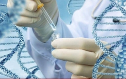 Bị ung thư giai đoạn cuối, ông bố đơn thân nhận kết quả ADN 'không phải cha con'