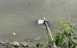 Người phụ nữ tá hỏa với hình ảnh dưới sông Sài Gòn