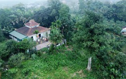 Hai 'báu vật sống' hơn 200 năm tuổi ở Hà Tĩnh: Trị giá trăm tỷ, nay chính thức trở thành Di sản Việt Nam