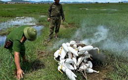 Bóc mẽ sự thật phía sau cánh đồng quê ở Quảng Trị