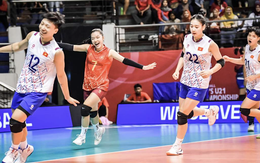 Vì sao Liên đoàn Bóng chuyền Việt Nam cấm thi đấu vĩnh viễn với Đặng Thị Hồng?