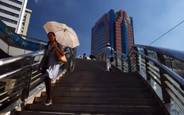 Sản xuất nhiên liệu hóa thạch gây ra nắng nóng nghiêm trọng