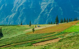 Thảo nguyên rộng lớn ngay vùng núi phía Bắc, cách Hà Nội 400km: Du khách nhận xét "như Châu Âu thu nhỏ"