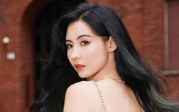 Trương Bá Chi còng lưng chạy show vì hết tiền?