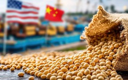 Giữa mùa cao điểm, triệu tấn hàng Mỹ thất thu tỷ USD vì Trung Quốc ‘ngó lơ’, chọn nguồn Brazil