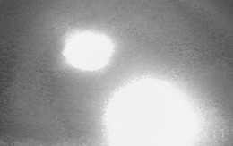 Đặt camera ẩn trong rừng hoang, phát hiện hình ảnh sốc