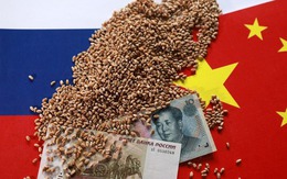 Chuyện thật như đùa: Nga đem lúa mì đổi lấy ô tô Trung Quốc để 'lách' trừng phạt thanh toán từ Mỹ, EU