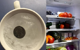 Vì sao nên bỏ đồng xu vào tủ lạnh?