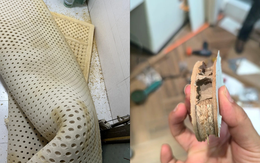 Chuyên gia cảnh báo: 6 món này là "sát thủ giấu mặt" trong nhà, gieo bệnh tật và rút ngắn tuổi thọ từng ngày