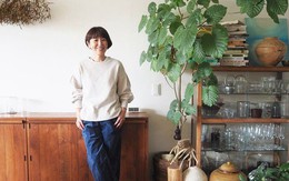 5 loại cây hợp tuổi 45+ vừa giúp tinh thần an yên vừa hút tài lộc vào nhà