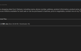 Hacker rao bán dữ liệu của Giao Hàng Nhanh và Sapo trên "web đen"