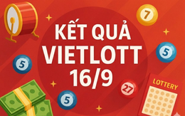 Power 6/55 nhảy vọt lên 132,9 tỉ đồng