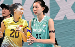 Ngôi sao Việt Nam trên đường sang Nhật Bản, nhận mức lương "hoành tráng" cỡ nào?