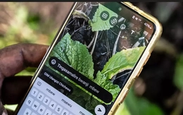 Cánh cửa mới cho nông nghiệp Malawi