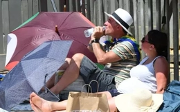 Châu Âu thiệt hại 43 tỷ EUR vì nắng nóng, hạn hán và lũ lụt