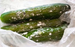 Đầu bếp mách 1 mẹo bảo quản dưa chuột không phải ai cũng biết nhưng giúp dưa tươi lâu suốt 2 tuần