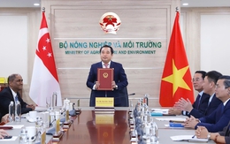 Việt Nam và Singapore vừa ký kết chiến lược, liên quan thị trường ước đạt 250 tỷ USD: "Bùng nổ" năm 2050