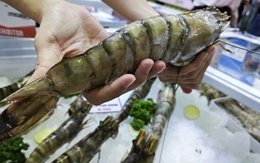 Trung Quốc ồ ạt mua tôm Việt, lần đầu soán vị trí nhập khẩu số 1 từ Mỹ