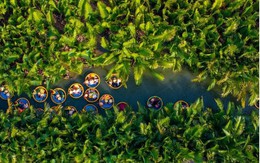 Tạp chí Mỹ ca ngợi ngôi làng nhỏ nép mình giữa rừng dừa của Đà Nẵng đẹp top 20 thế giới, "cảnh sắc thở ra một nhịp an yên"