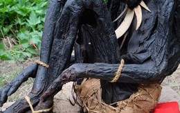 ‘Xác ướp’ 14.000 năm tuổi tại Việt Nam: Phát hiện chấn động viết lại lịch sử ướp xác của nhân loại