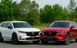 Bức tranh thị trường ô tô 8 tháng đầu năm: SUV áp đảo, MPV bứt tốc, sedan ‘hụt hơi’ - người Việt đang thay đổi thị hiếu mua xe?