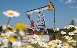 Ngành trụ cột lung lay khi nguồn thu lao dốc gần 1/4, Nga lập tức ra kế sách 'bình ổn' quan trọng giữa vòng vây trừng phạt