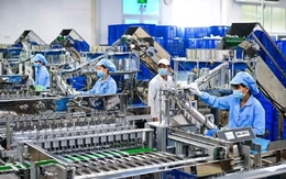 TPHCM ưu tiên phát triển AI, công nghệ sinh học, năng lượng sạch