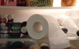 Vì sao nên đặt cuộn giấy vệ sinh trong tủ lạnh?