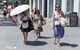 Khoảng 16.500 ca tử vong do nắng nóng ở châu Âu