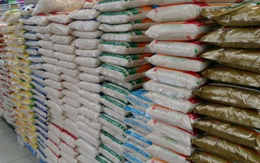 Đột kích 1 nhà máy sản xuất gạo giả, cảnh sát bắt giữ 1 người, tịch thu hơn 200 tấn sản phẩm và nguyên liệu thô cùng toàn bộ dây chuyền chế biến