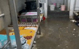 Chỗ này mà dám làm KTX cho tân sinh viên ư? Coi thường quá mức rồi