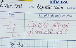 Bài văn viết thư hỏi thăm bà gây bão MXH, được 4 điểm nhưng dân mạng phán: "Không oan tí nào!"