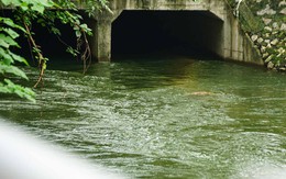 Hồ Tây từng xả lượng nước 'dữ dội' đến mức nào mà khi đó vẫn không cứu được sông Tô Lịch?