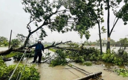 Siêu bão Ragasa chưa qua, Biển Đông lại sắp đón bão số 10, hướng vào miền Trung