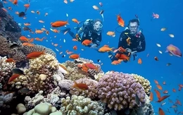 Hai thợ lặn ở Quảng Trị gặp sự cố dẫn đến tử vong